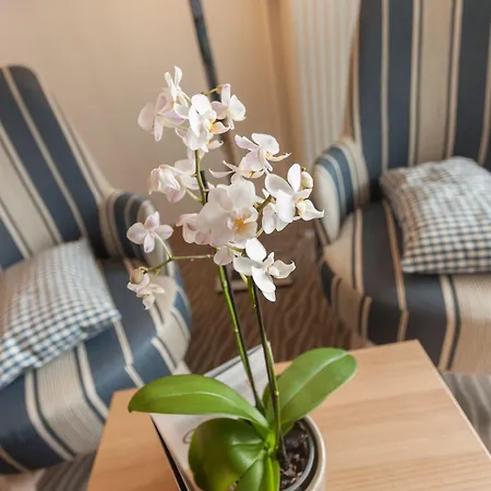 Bernstein Hotel 4*
